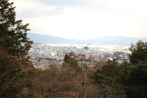 DSC_5638.jpg
