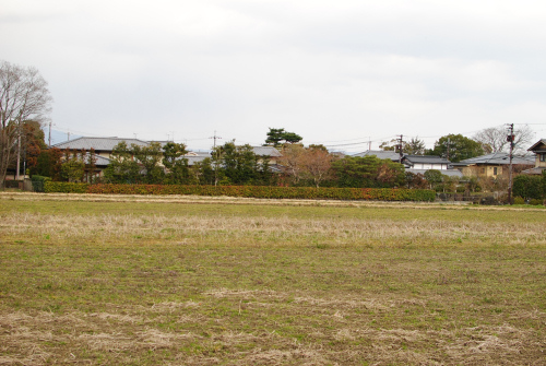 DSC_5654.jpg