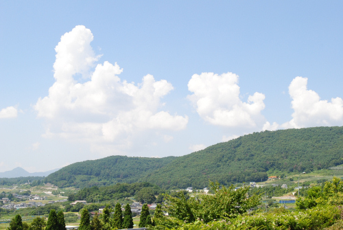 DSC_6428.jpg
