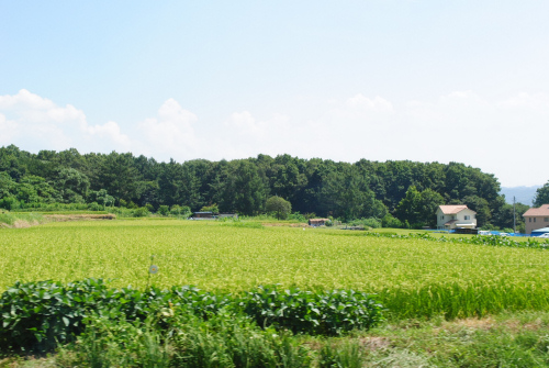 DSC_6434.jpg