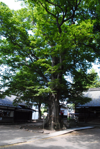 DSC_6438.jpg