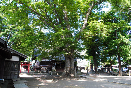 DSC_6505.jpg