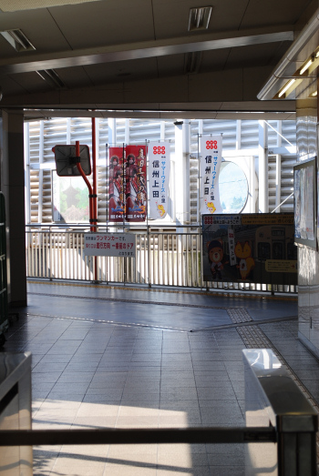 DSC_6523.jpg
