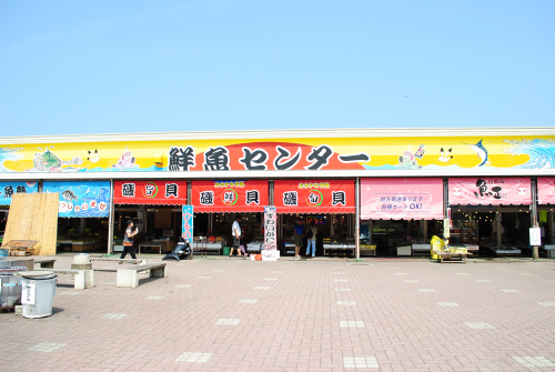 DSC_7000.jpg