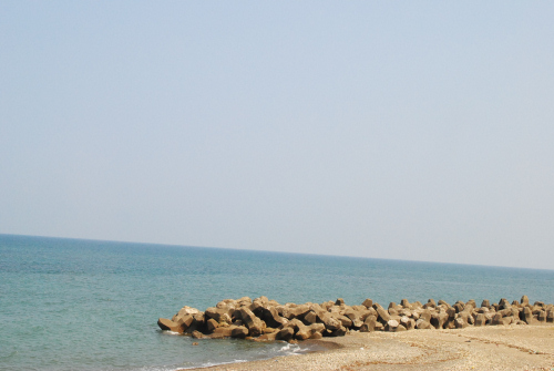 DSC_7048.jpg