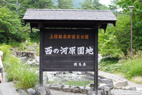 DSC_7072.jpg