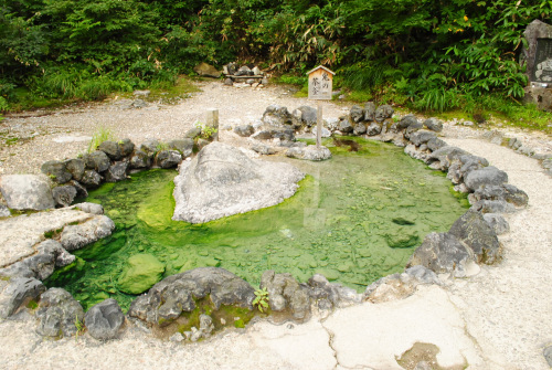 DSC_7078.jpg