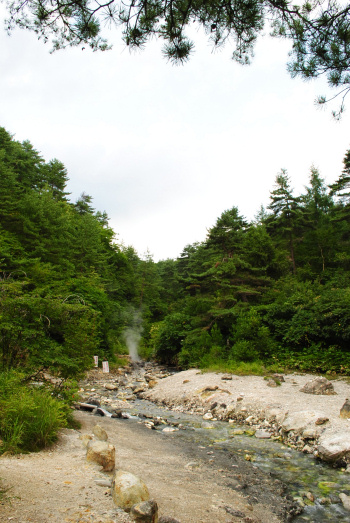 DSC_7082.jpg