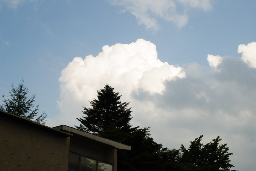 DSC_7090.jpg