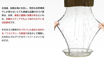 ルプルプ