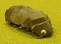 120px-Pill_bug.jpg