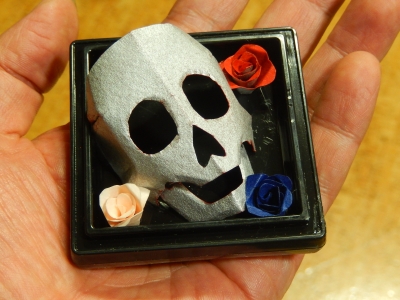 DSCN5031.jpg