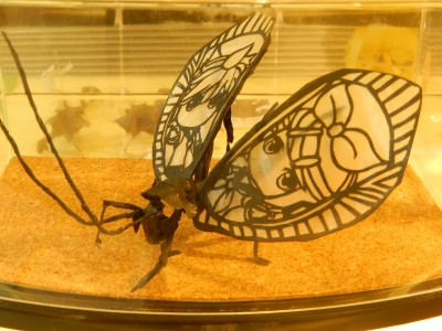 DSCN5188.jpg
