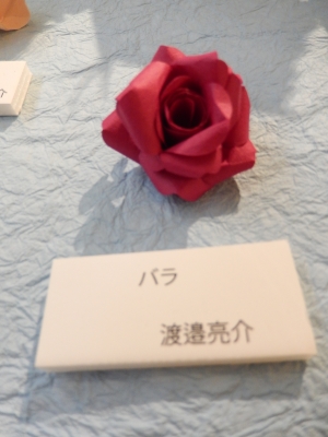 DSCN5224.jpg