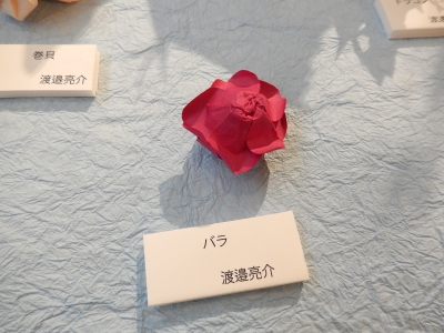 DSCN5226.jpg