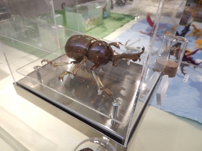DSCN5230.jpg