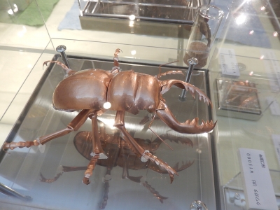 DSCN5231.jpg