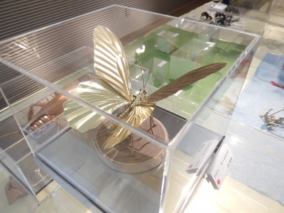 DSCN5235.jpg