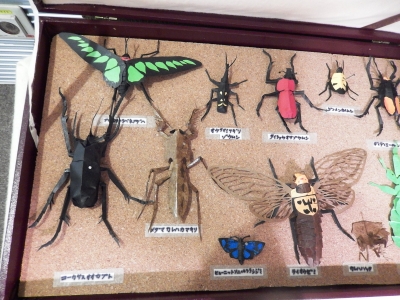 DSCN5237.jpg