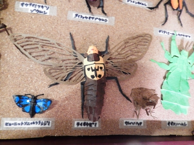 DSCN5238.jpg