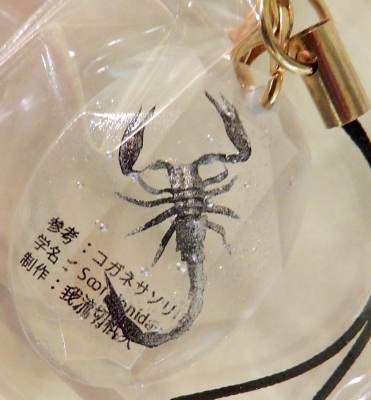 DSCN5245.jpg