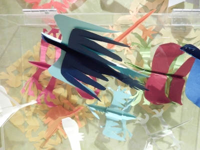 DSCN5253.jpg