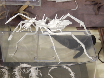 DSCN5259.jpg