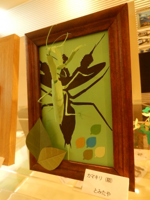 DSCN5262.jpg