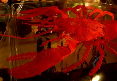 DSCN5321.jpg