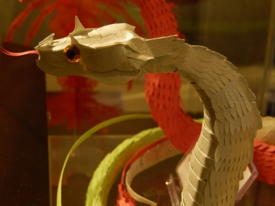 DSCN5325.jpg