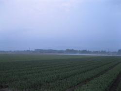 002_20130516052131.jpg
