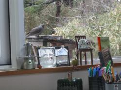 004_20130404062009.jpg