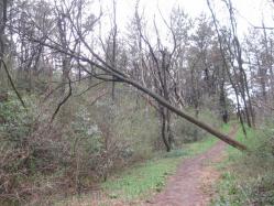 007_20130404074003.jpg