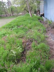 009_20130508061347.jpg
