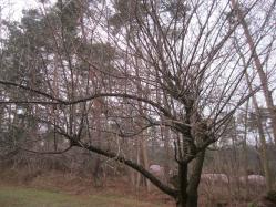 025_20130320065607.jpg