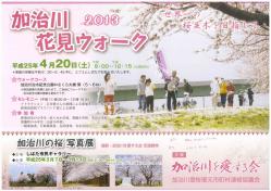 加治川花見ウォーク2013_R