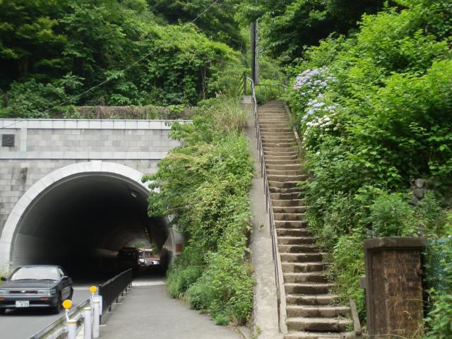 120602_P6020240.jpg