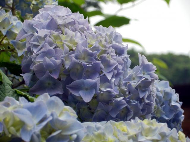 120602_P6020245.jpg