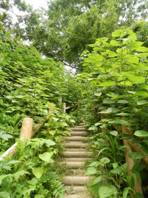120602_P6020249.jpg