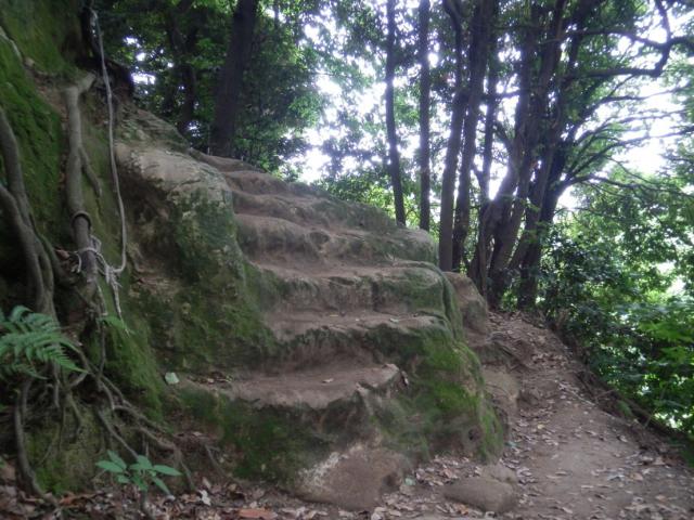 120602_P6020258.jpg