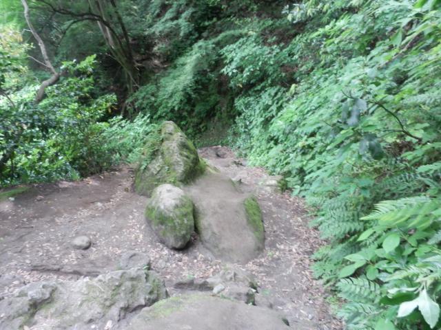 120602_P6020261.jpg