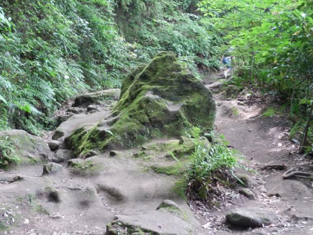 120602_P6020264.jpg