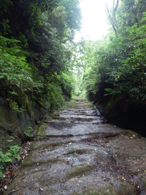 120602_P6020314.jpg