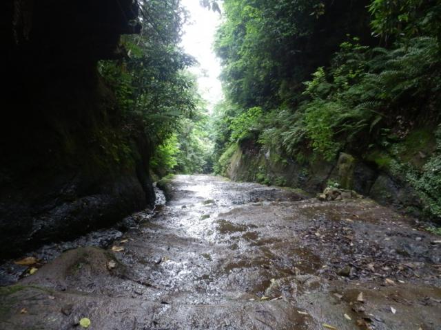 120602_P6020315.jpg