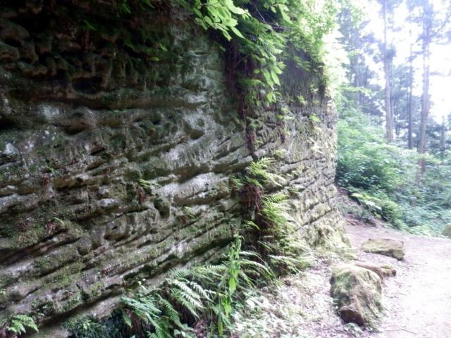 120602_P6020318.jpg
