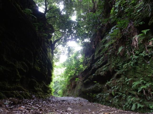 120602_P6020327.jpg