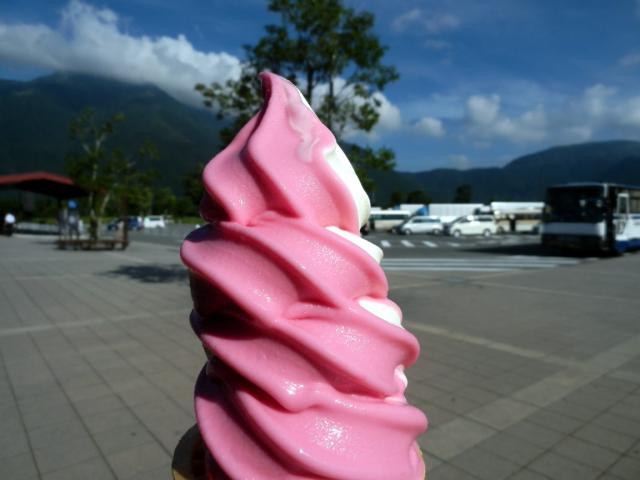 120803_P8030197.jpg