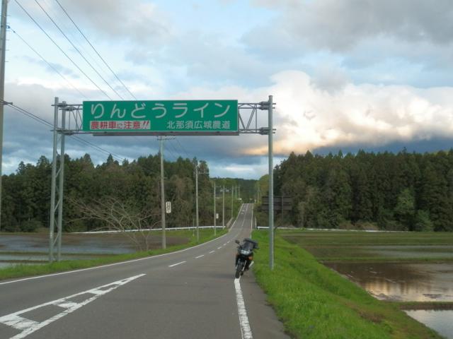 P5050022.jpg