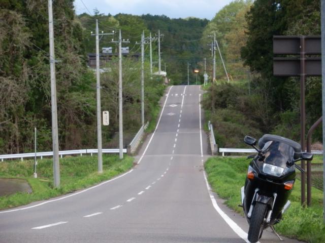 P5050026.jpg