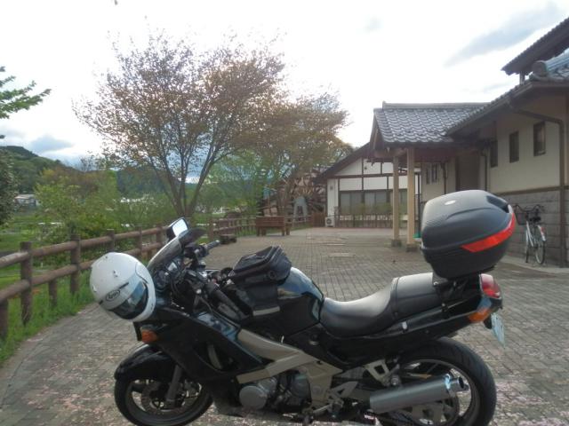 P5050028.jpg